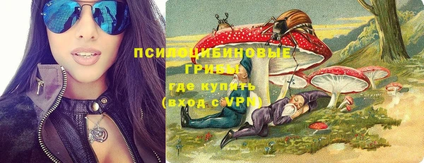 СК Михайлов