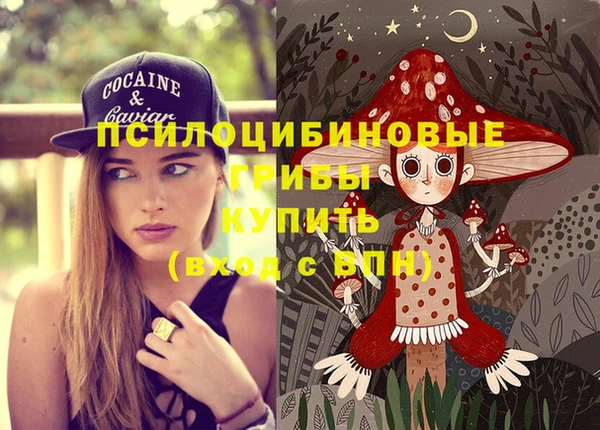 СК Михайлов