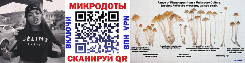 hydra сайт  Кодинск  Псилоцибиновые грибы Cubensis 